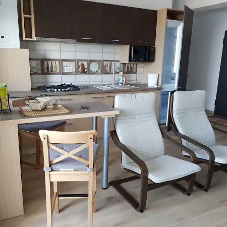 公寓 Ana Mamaia Nord